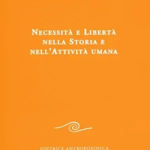 Necessità e libertà nella storia e nell‘attività umana Compra Adesso