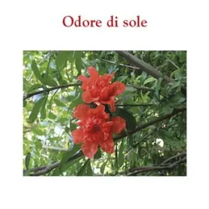 Esclusivo Odore di sole