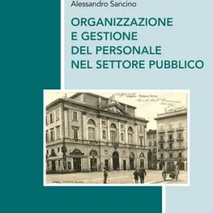 Prezzo Conveniente Organizzazione e gestione del personale nel settore pubblico