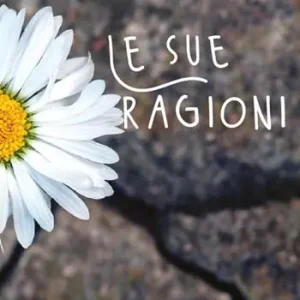 Le sue ragioni Affare