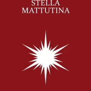 Stella mattutina Economico
