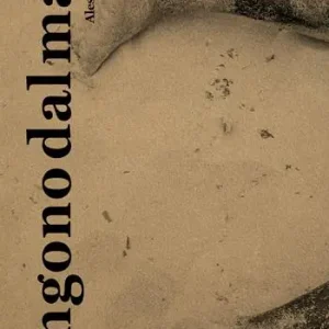 Economico Vengono dal mare. Ediz. italiana e inglese