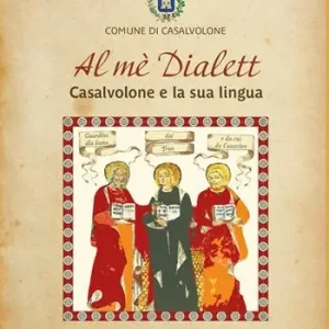 Al mè dialett. Casalvolone e la sua lingua Affare