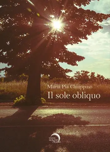 Spedizione Espresso Il sole obliquo