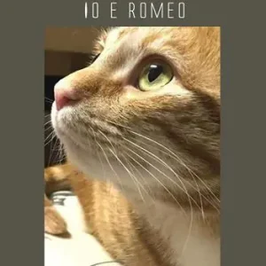Io e Romeo Nuovo Arrivo