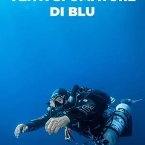 Venti sfumature di blu Professionale