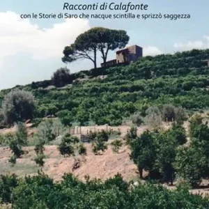 Vendita Finale Una particolare normalità. Racconti di Calafonte con le storie di Saro che nacque scintilla e sprizzò saggezza