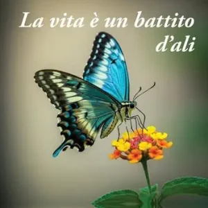 Prezzo Di Fabbrica La vita è un battito d‘ali