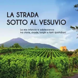 Consegna Rapida La strada sotto al Vesuvio. La mia infanzia e adolescenza tra storie, strade, luoghi e fatti quotidiani