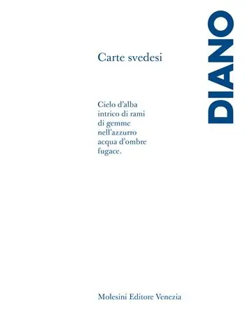 Solo Oggi Carte svedesi. Frammenti di un discorso poetico