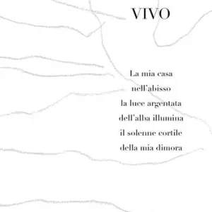 Vivo. La mia casa nell‘abisso la luce argentata dell‘alba illumina il solenne cortile della mia dimora. Ediz. illustrata Ultimissimo Modello