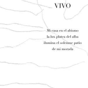 Solo Oggi Vivo. Mi casa en el abismo la lux platea del alba ilumina el solemne patio de mi morada. Ediz. illustrata