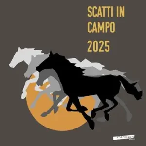 Vendita Finale Scatti in Campo 2025