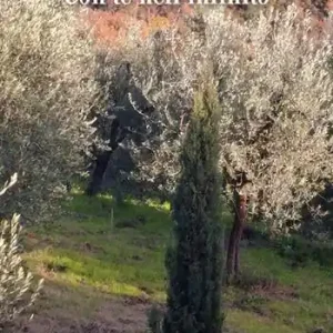 Più Venduto Con te nell‘infinito