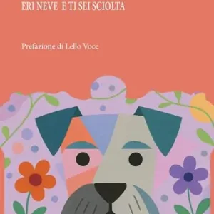 Eri neve e ti sei sciolta Compra Adesso