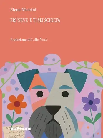 Eri neve e ti sei sciolta Compra Adesso
