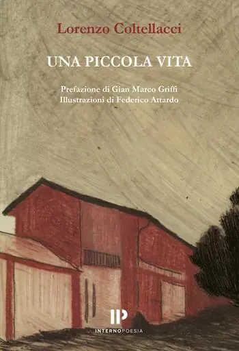 Compra Online Una piccola vita