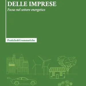 Soddisfatti O Rimborsati Internazionalizzazione come strategia delle imprese. Focus nel settore energetico