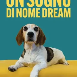 Reso Gratuito Un sogno di nome Dream