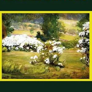 Acquista Ora Il sole dentro