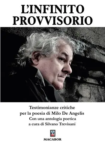 Ultimissimo Modello L‘infinito provvisorio. Testimonianze critiche per la poesia di Milo De Angelis