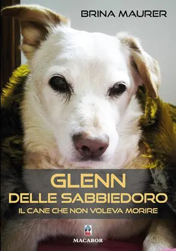 Glenn delle sabbiedoro. Il cane che non voleva morire Occasione