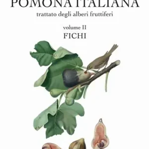 Popolare Pomona italiana ossia Trattato degli alberi fruttiferi. Vol. 2 Fichi