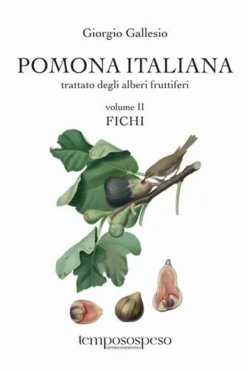 Popolare Pomona italiana ossia Trattato degli alberi fruttiferi. Vol. 2 Fichi