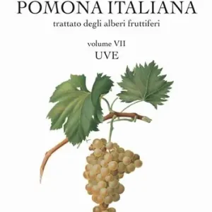 Pomona italiana ossia Trattato degli alberi fruttiferi. Vol. 7 Uve Popolare