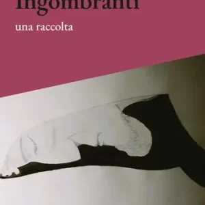Ingombranti. Una raccolta Direttamente Dal Produttore