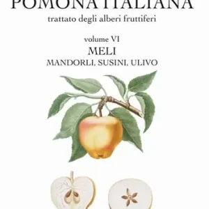 Nuova Collezione Pomona italiana ossia Trattato degli alberi fruttiferi. Vol. 6 Meli, mandorli, susini, ulivo