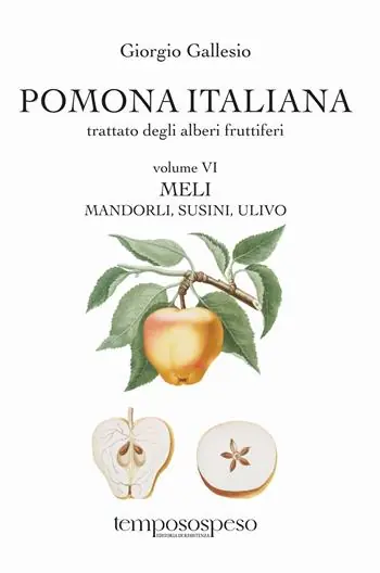 Nuova Collezione Pomona italiana ossia Trattato degli alberi fruttiferi. Vol. 6 Meli, mandorli, susini, ulivo