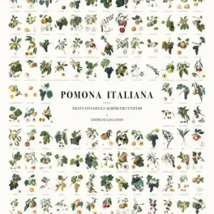 Occasione MANIFESTO DEI FRUTTI DELLA POMONA ITALIANA. Illustrazioni originali delle 142 varietà di frutta antica descritte nella Pomona Italiana di Giorgio Gallesiol. Ediz. illustrata