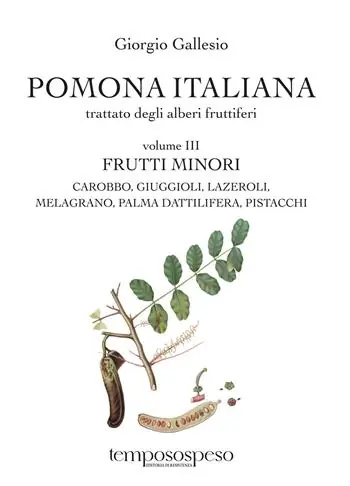 Bestseller Pomona italiana ossia Trattato degli alberi fruttiferi. Vol. 3 Frutti minori. Carobbo, giuggioli, lazeroli, melograno, palma dattilifera, pistacchi