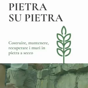 Pietra su pietra. Costruire, mantenere, recuperare i muri in pietra a secco Offerta Lampo