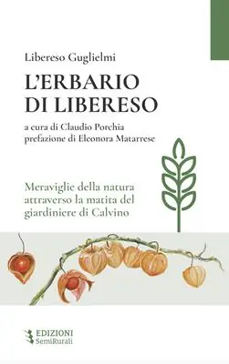 Occasione Imperdibile L‘erbario di Libereso. Meraviglie della natura attraverso la matita del giardiniere di Calvino