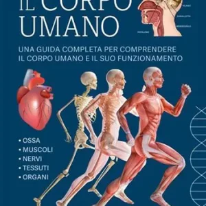 Il corpo umano. Ediz. a colori Popolare