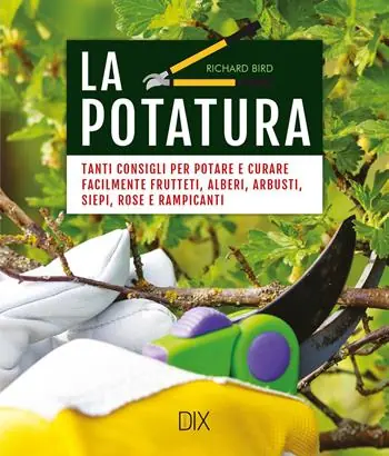 Novità La potatura. Tanti consigli per potare e curare facilmente frutteti, alberi, arbusti, siepi, rose e rampicanti. Nuova ediz.