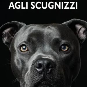 camorra spiegata agli Scugnizzi Esclusivo
