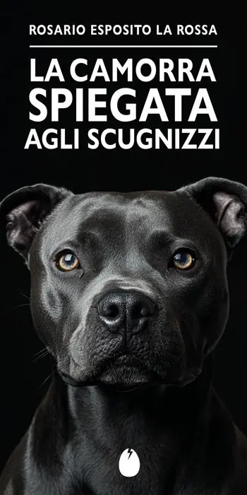 camorra spiegata agli Scugnizzi Esclusivo