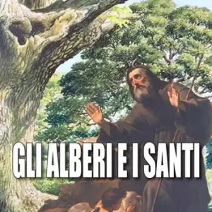Gli alberi e i santi Professionale