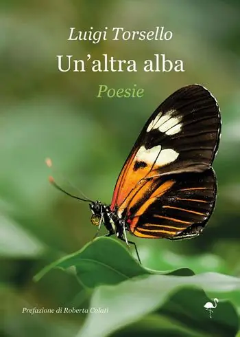 Un‘altra alba Super Prezzo