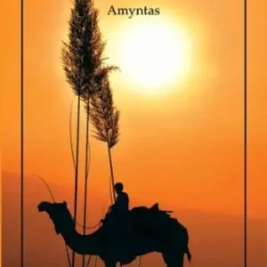 Amyntas Economico