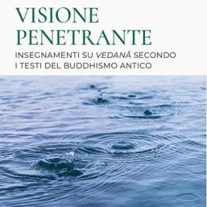 Acquista Ora Visione penetrante. Insegnamenti su vedana secondo i testi del buddhismo antico