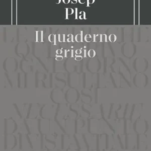 Il quaderno grigio Occasione Imperdibile