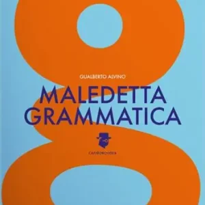 Affare Maledetta grammatica