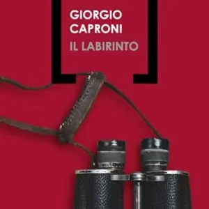 Il labirinto Spedizione Espresso
