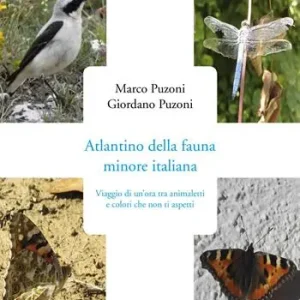 Atlantino della fauna minore italiana A Buon Prezzo