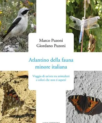 Atlantino della fauna minore italiana A Buon Prezzo