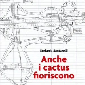 Anche i cactus fioriscono Prezzo Di Fabbrica